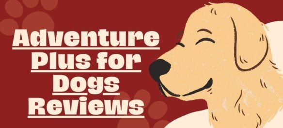 Adventure Plus for Dogs Reviews