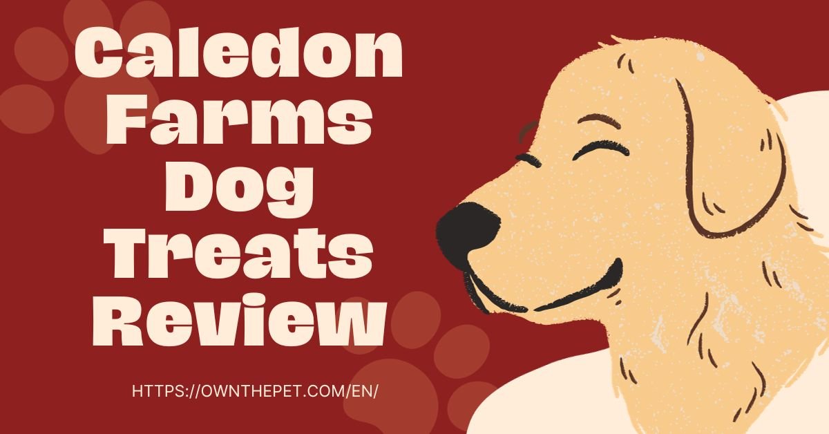 Caledon Farms Dog Treats Review (According to a Real Dog Owner)