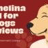 Camelina Oil for Dogs Reviews