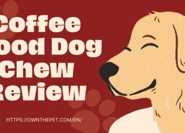 Coffee Wood Dog Chew Review