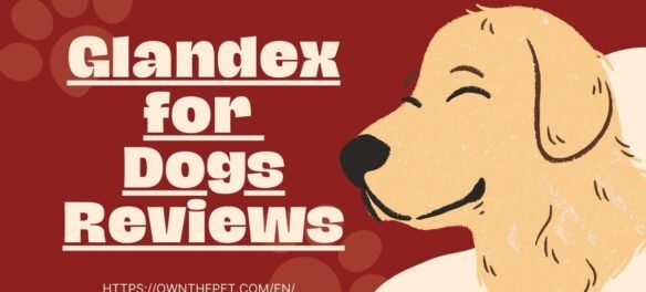 Glandex for Dogs Reviews