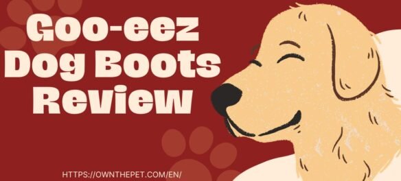 Goo-eez Dog Boots Review