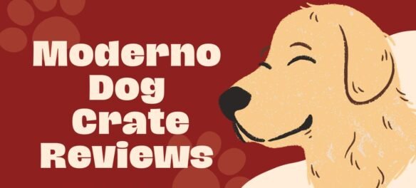 Moderno Dog Crate Reviews