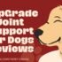 PupGrade Joint Support for Dogs Reviews