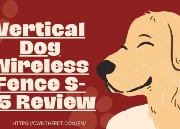 Vertical Dog Wireless Fence S-35 Review