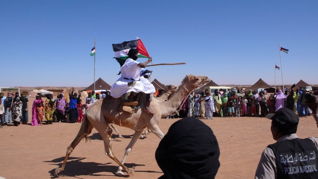 سباق الهجن: القواعد والمواسم وفئات الأعمار وأشهر المهرجانات
