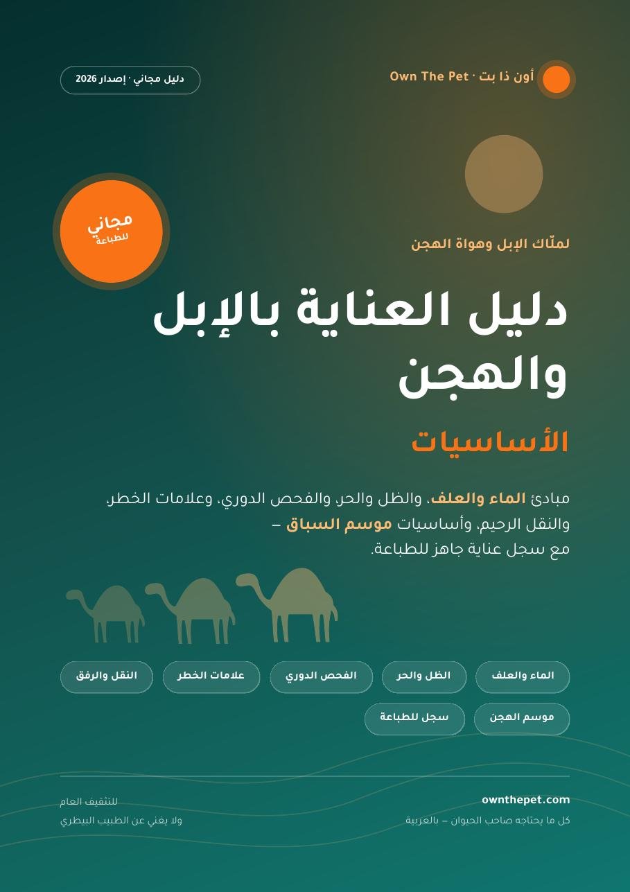 دليل العناية بالإبل والهجن: الأساسيات