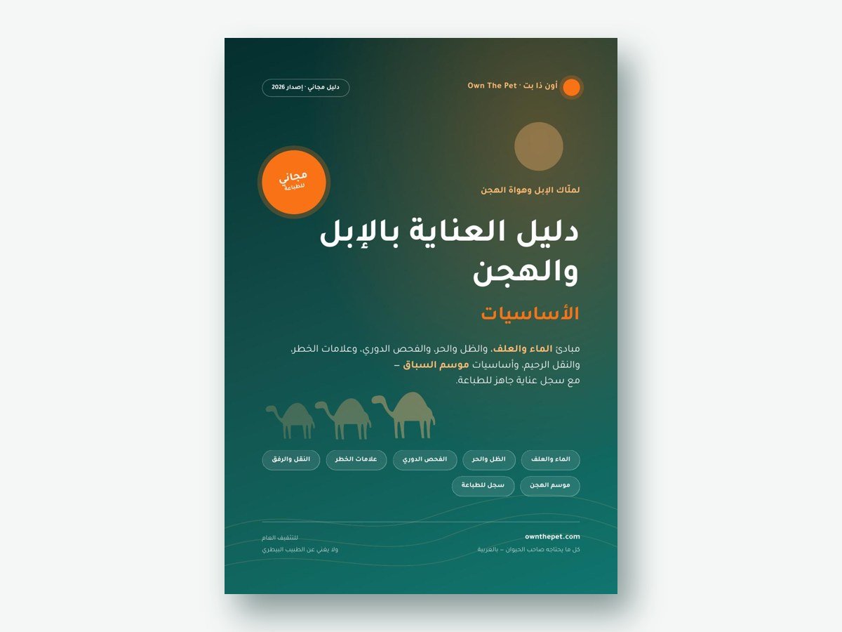 دليل العناية بالإبل والهجن: الأساسيات