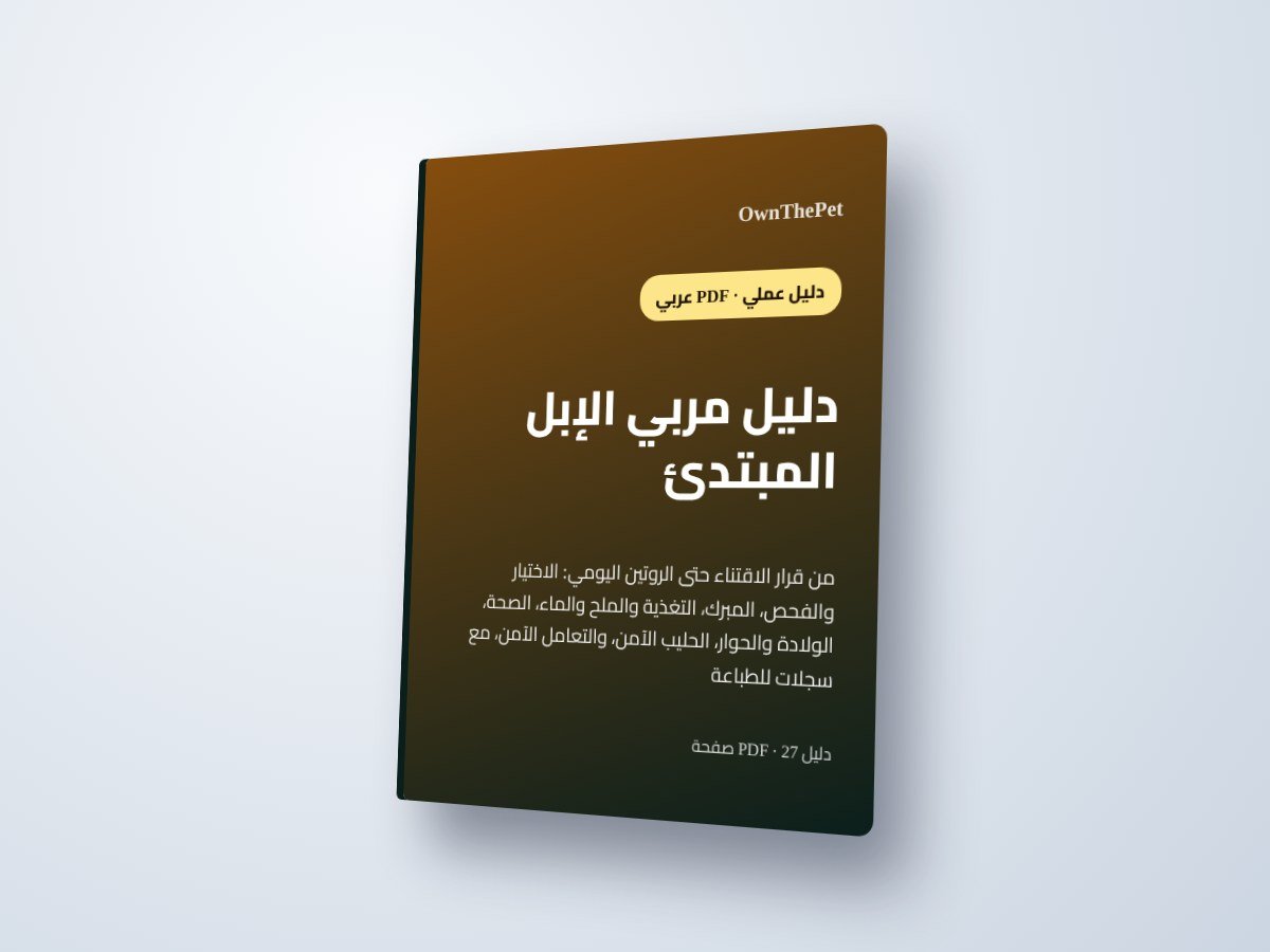 دليل مربي الإبل المبتدئ