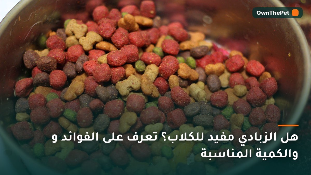 هل الزبادي مفيد للكلاب؟ تعرف على الفوائد و والكمية المناسبة