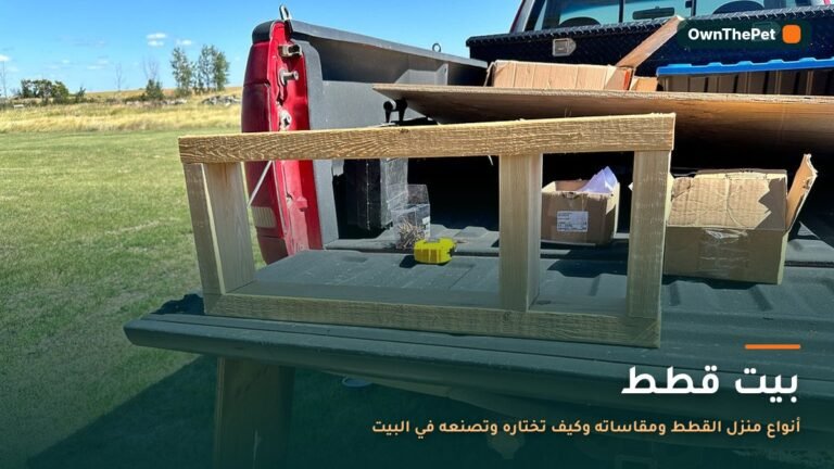 قطة تجلس داخل بيت قطط قماشي في غرفة المعيشة