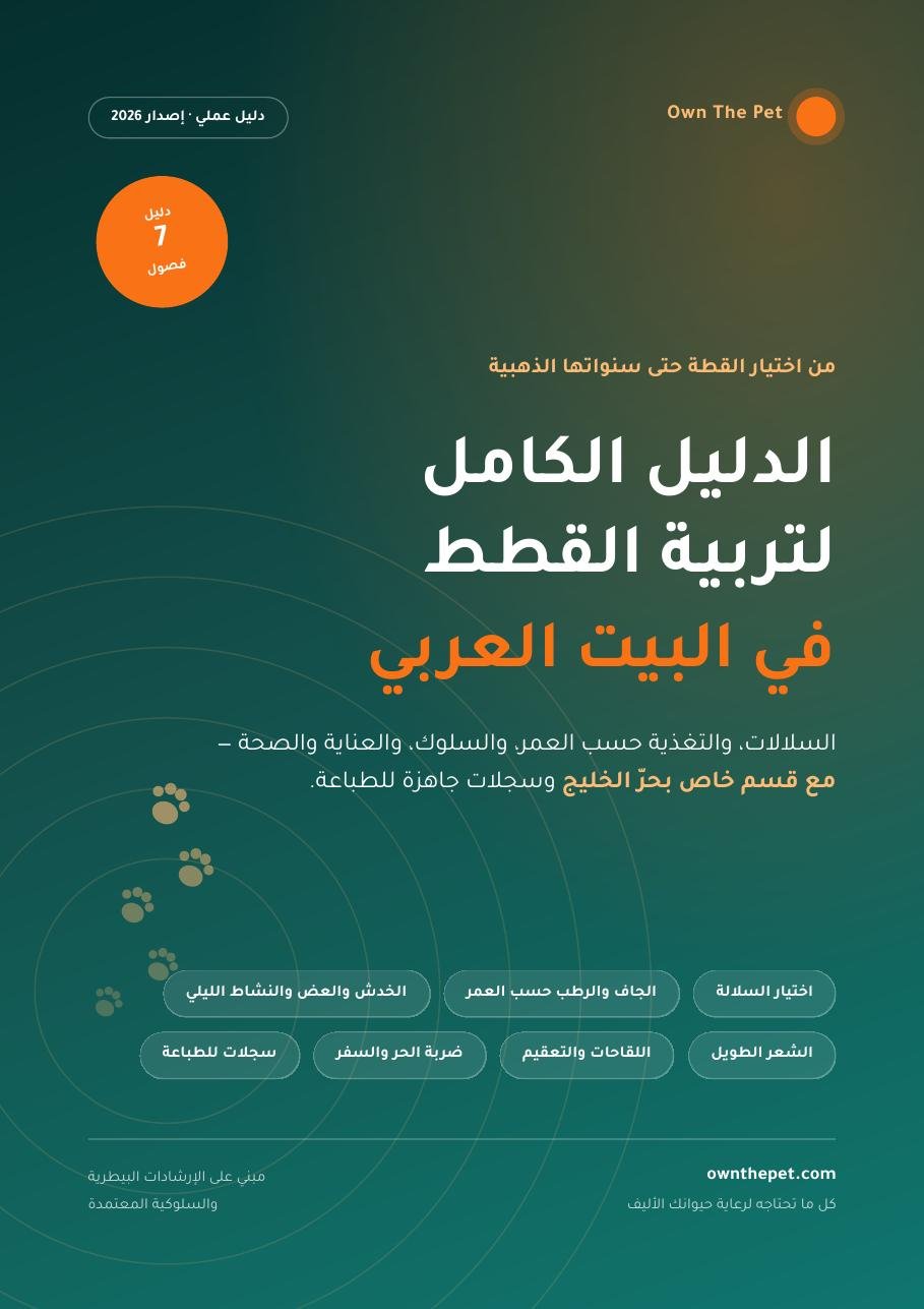 الدليل الكامل لتربية القطط في البيت العربي