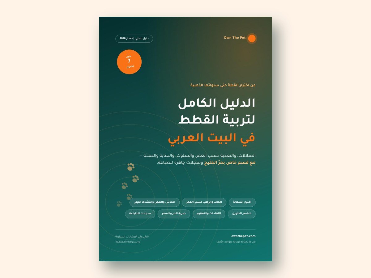 الدليل الكامل لتربية القطط في البيت العربي