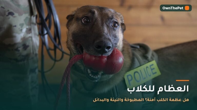 كلب يمضغ لعبة مضغ آمنة بدل العظام