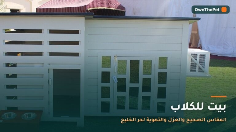 بيت للكلاب: المقاس الصحيح والعزل والتهوية لحر الخليج