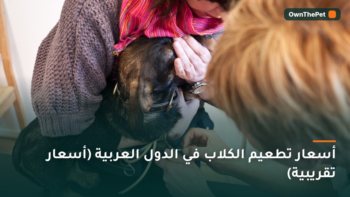 أسعار تطعيم الكلاب في الدول العربية (أسعار تقريبية)
