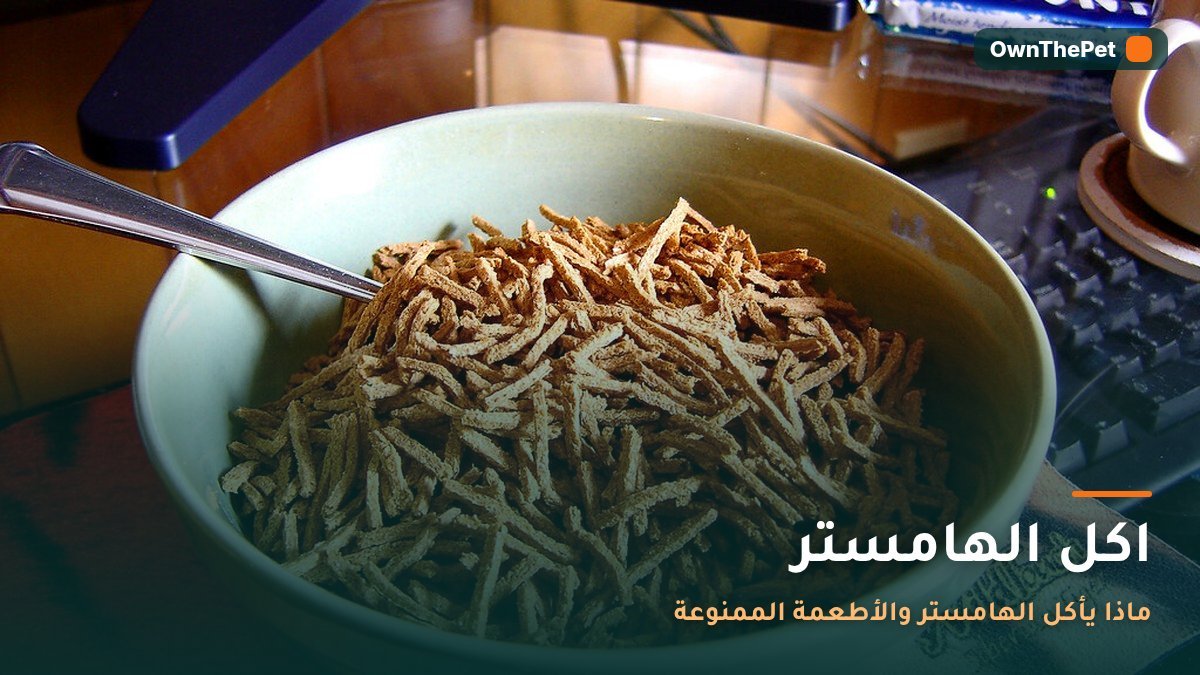 اكل الهامستر: ماذا يأكل الهامستر والأطعمة الممنوعة