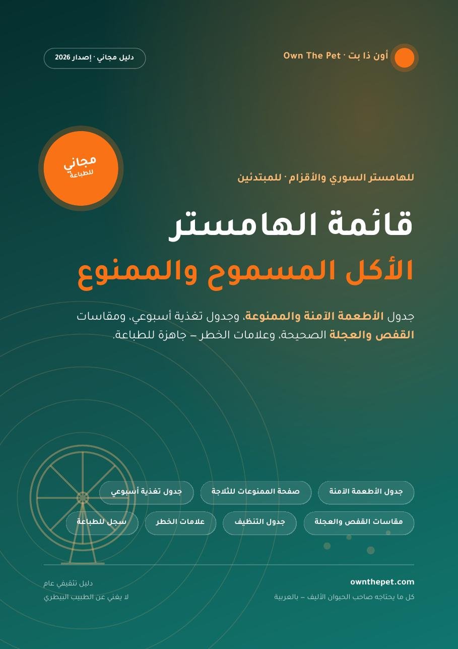 قائمة الهامستر: الأكل المسموح والممنوع