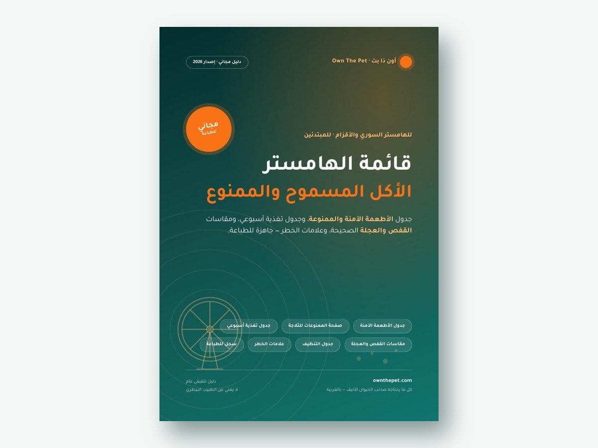 قائمة الهامستر: الأكل المسموح والممنوع