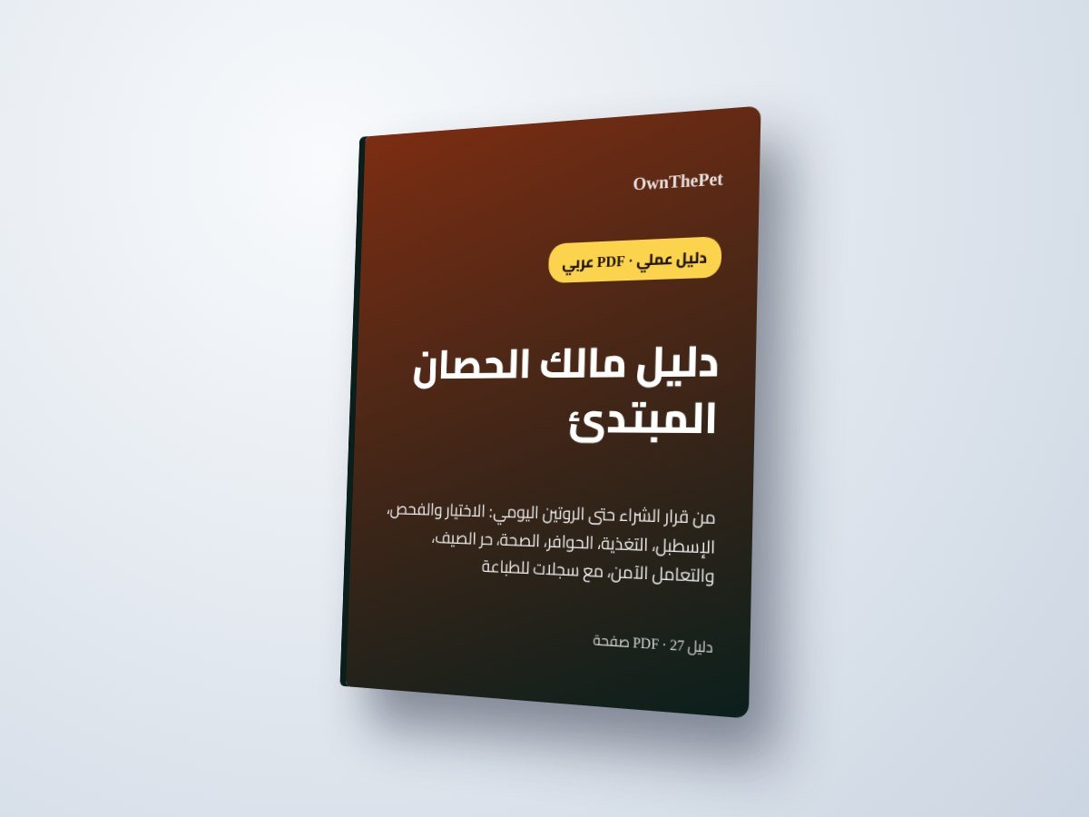 دليل مالك الحصان المبتدئ