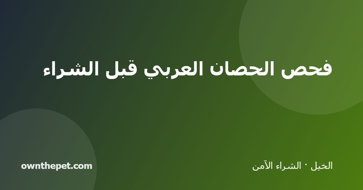 فحص الحصان العربي قبل الشراء