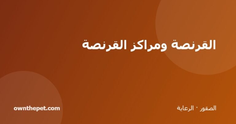 القرنصة ومراكز القرنصة