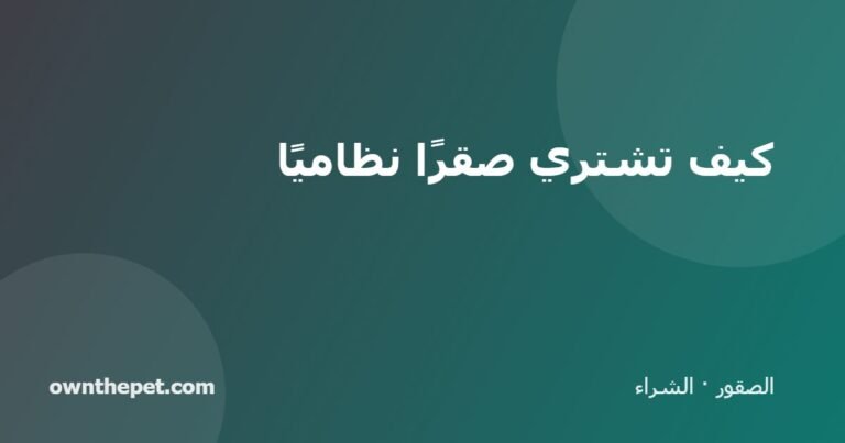 كيف تشتري صقرًا نظاميًا