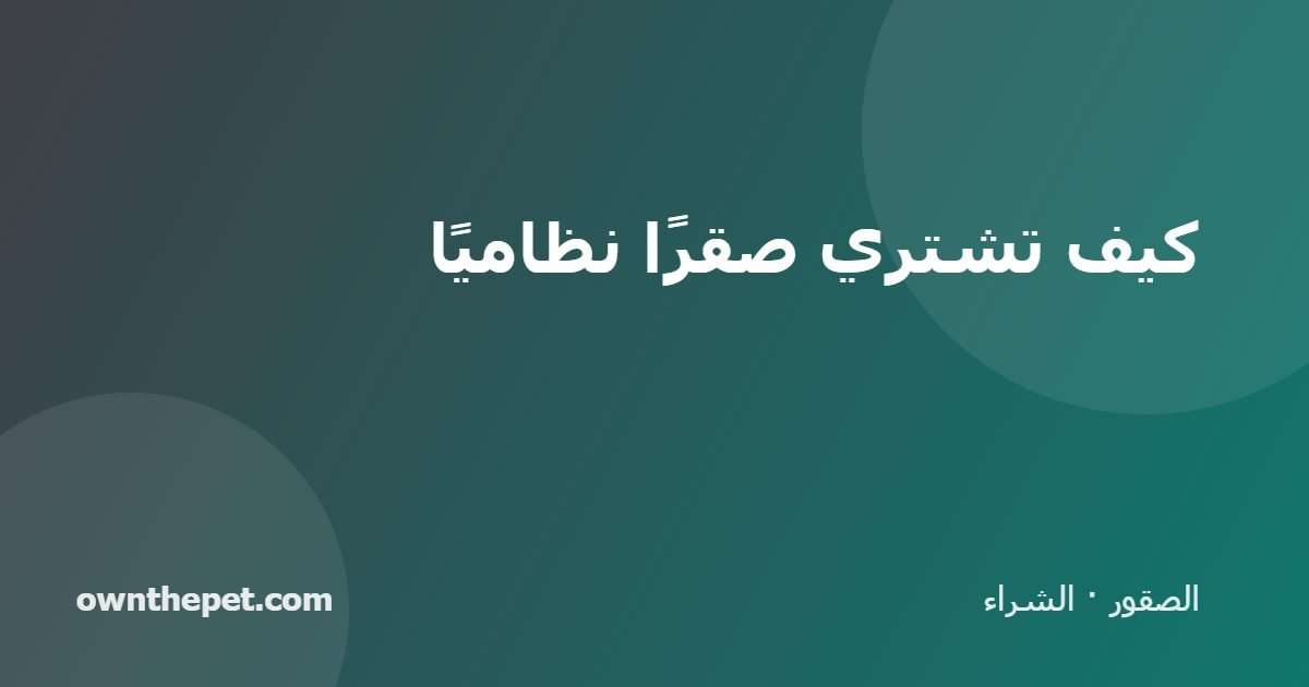 كيف تشتري صقرًا نظاميًا