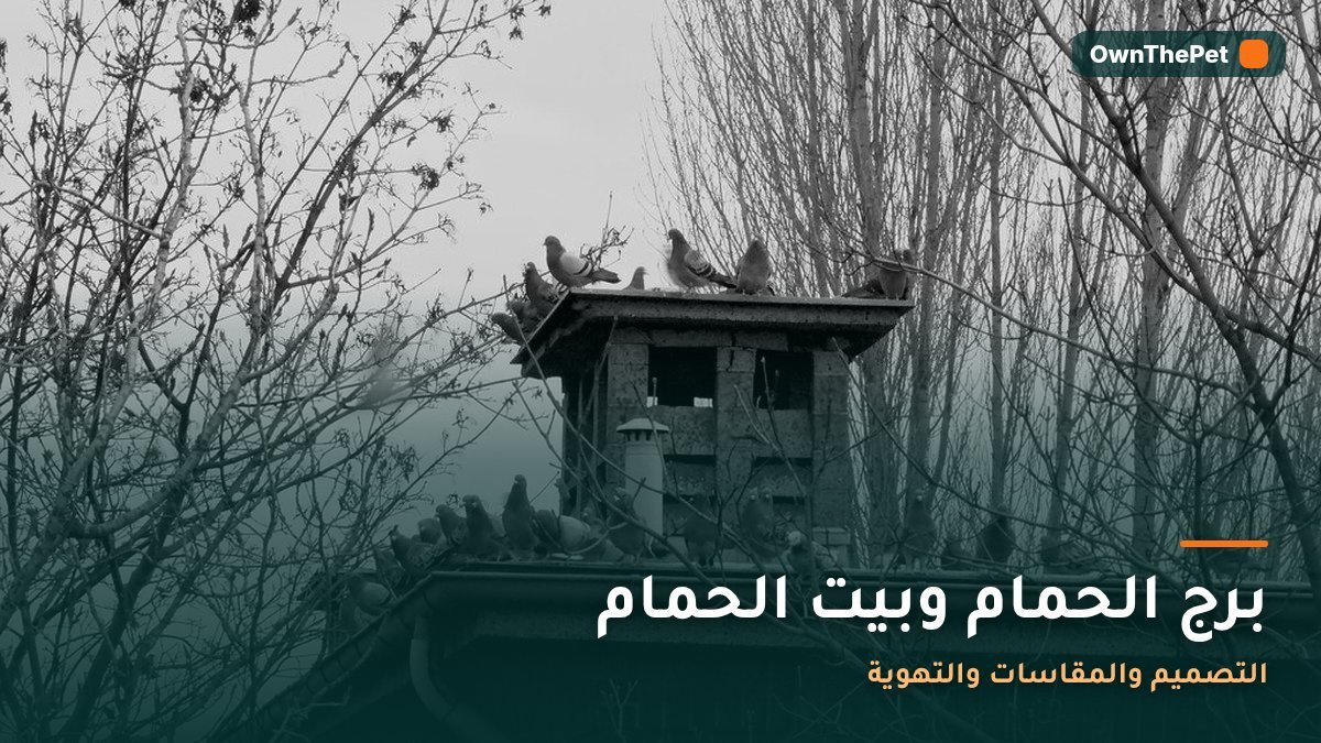 برج الحمام وبيت الحمام: التصميم والمقاسات والتهوية