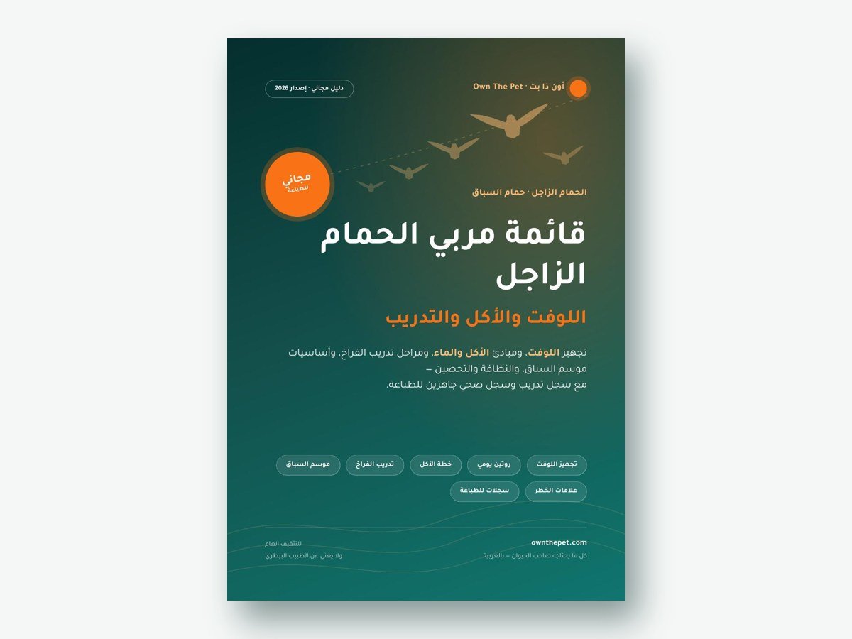 قائمة مربي الحمام الزاجل: اللوفت والأكل والتدريب
