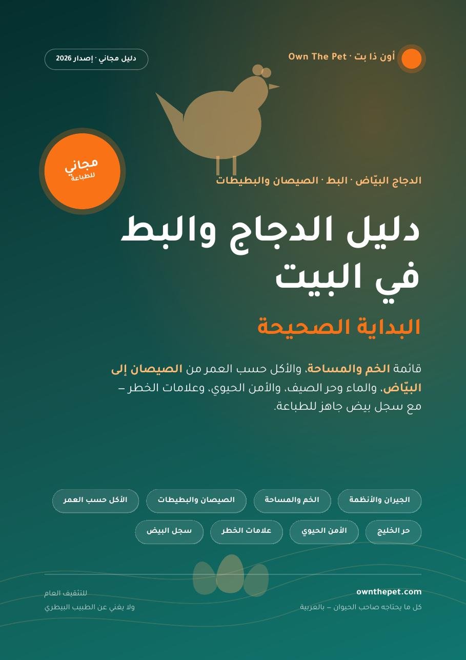 دليل الدجاج والبط في البيت: البداية الصحيحة
