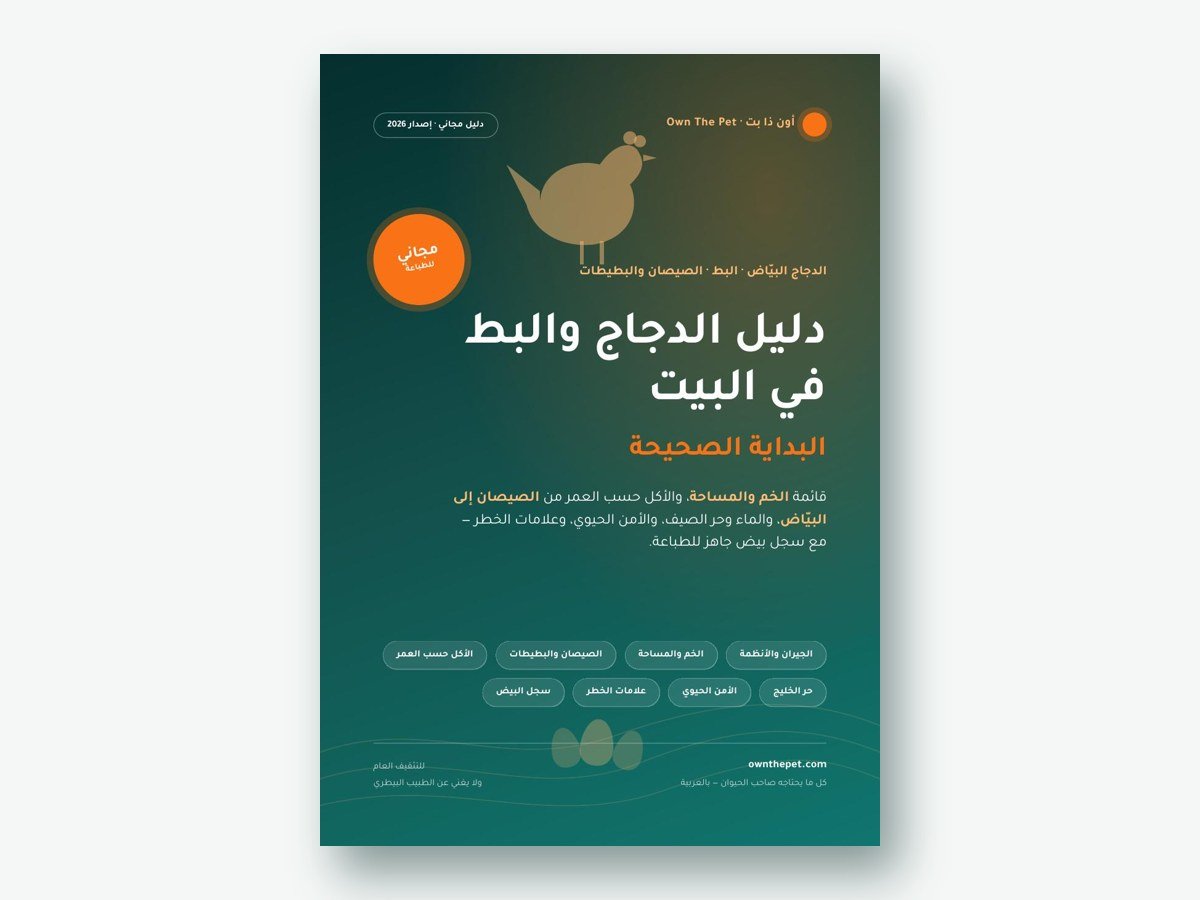 دليل الدجاج والبط في البيت: البداية الصحيحة