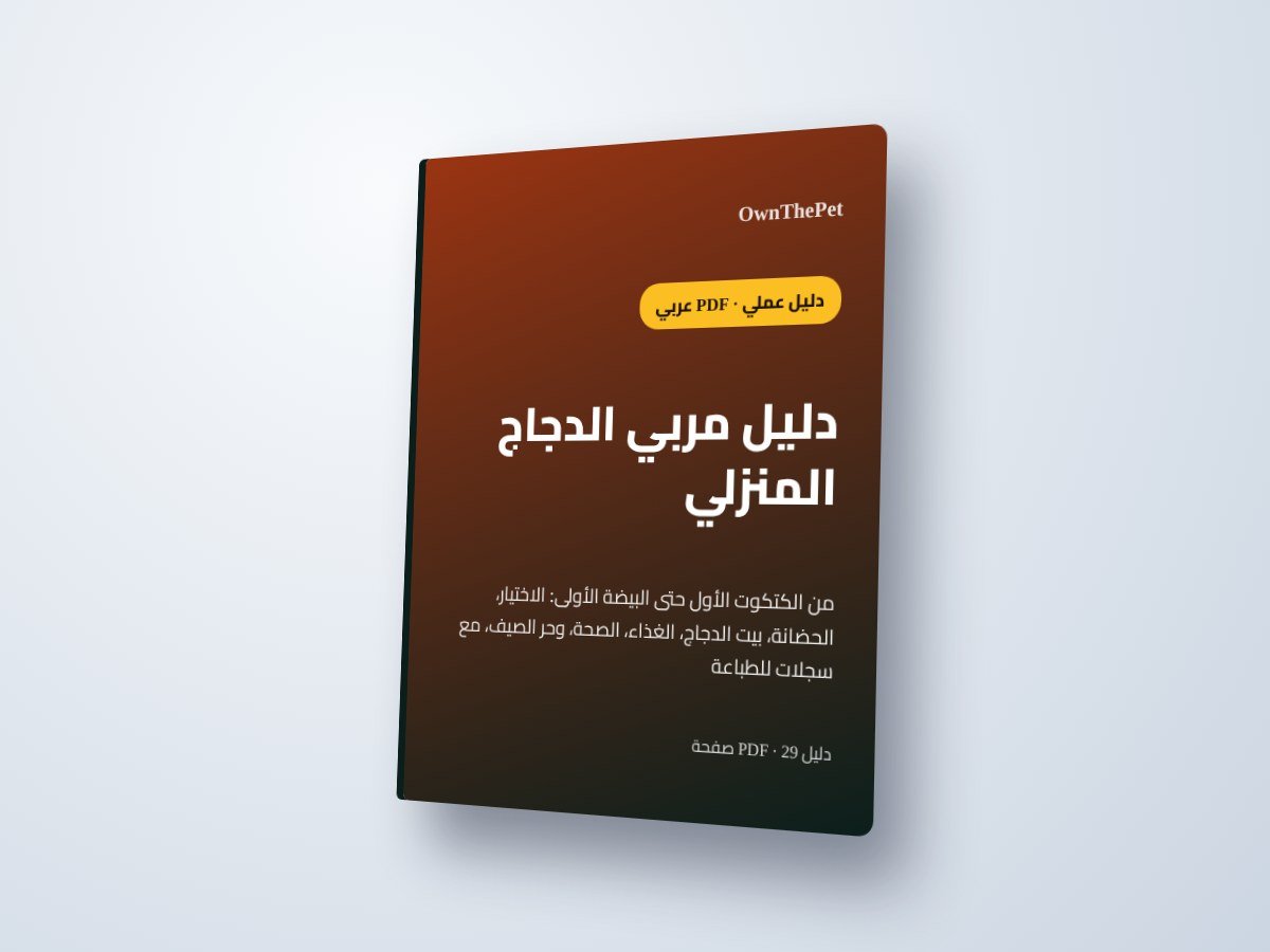 دليل مربي الدجاج المنزلي