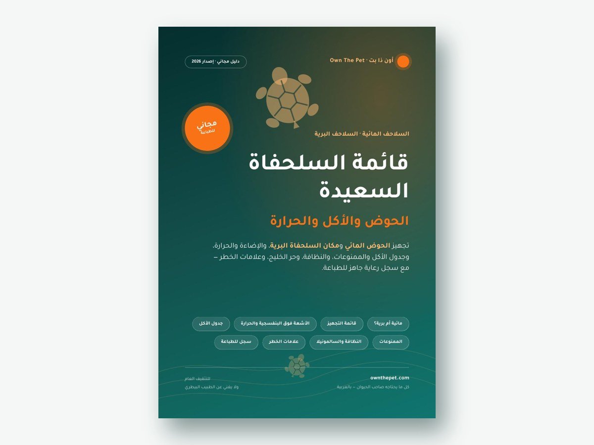 قائمة السلحفاة السعيدة: الحوض والأكل والحرارة