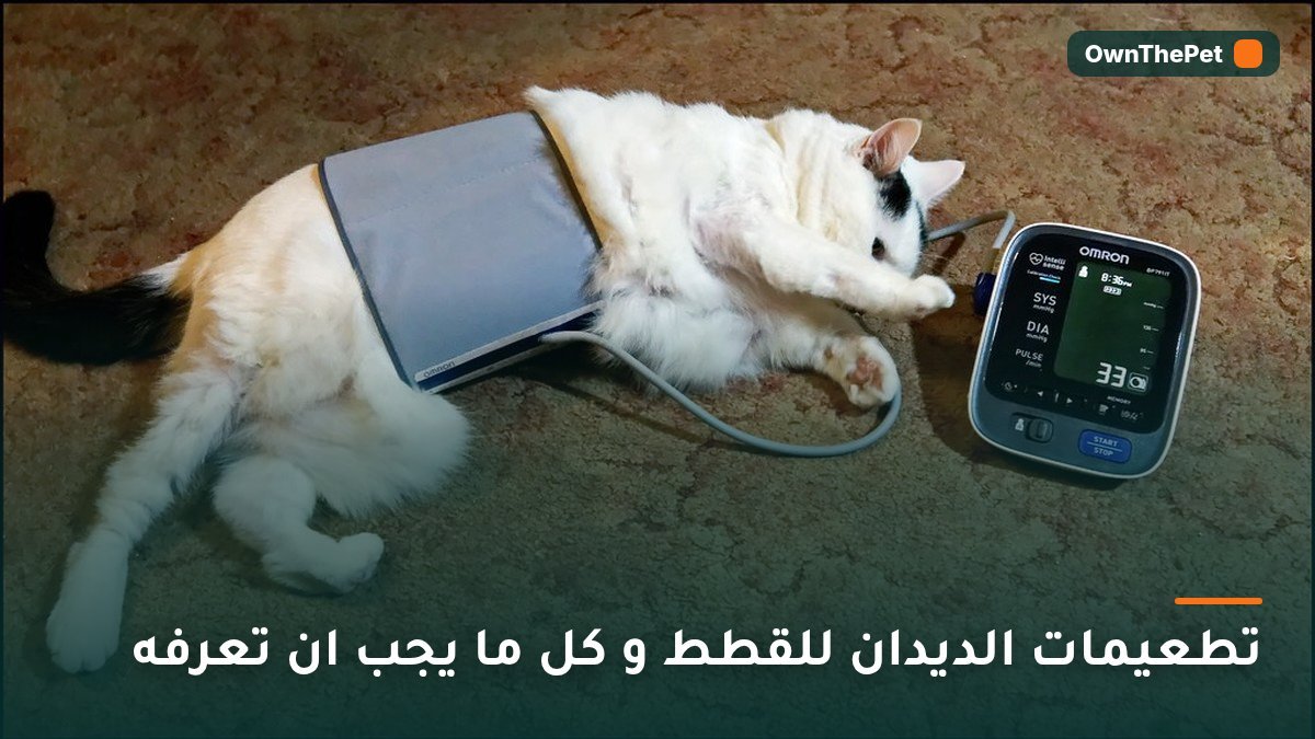 تطعيمات الديدان للقطط و كل ما يجب ان تعرفه